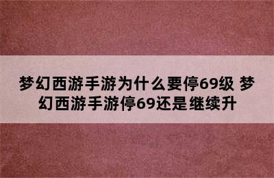 梦幻西游手游为什么要停69级 梦幻西游手游停69还是继续升